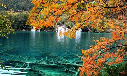 成都九寨沟15天天气的天气预报_九寨沟天