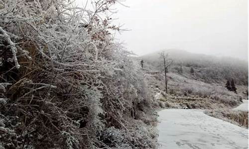 湖南今年会下雪吗2023年年底会下雪吗_