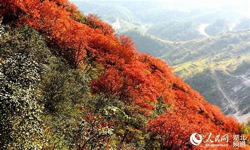 郧县天气_郧县天气预报7天查询