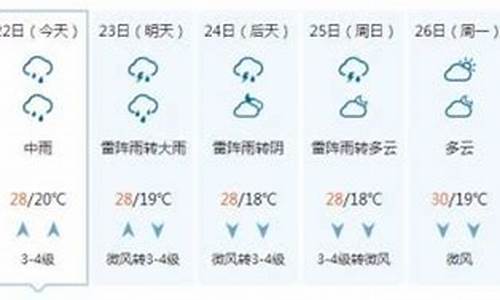 聊城一周天气预报10天查询表最新版_聊城地区一周天气预报