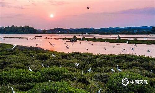 海林市天气预报_海林市天气预报15天查询