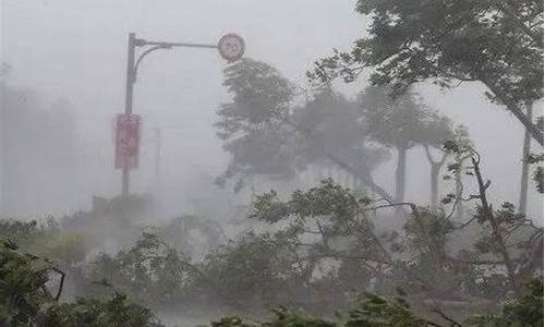 海南琼海天气预报30天查询百度_海南琼海天气