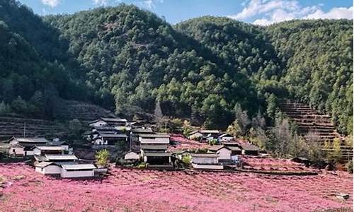 丽江天气预报一周_丽江天气预报15天准确一览表昆明