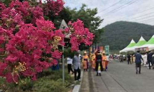 开原天气预报_开原天气预报2345