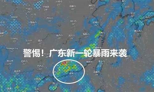 台风最新消息今天最新动态直播_台风最新消息今天时间最新