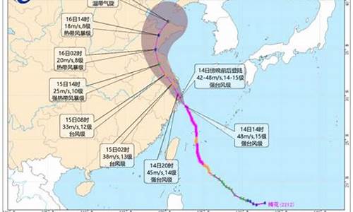 2022年太平洋台风季百度百科_2022年太平洋台风季