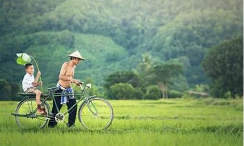 越南一年的天气情况_越南天气一年四季温度