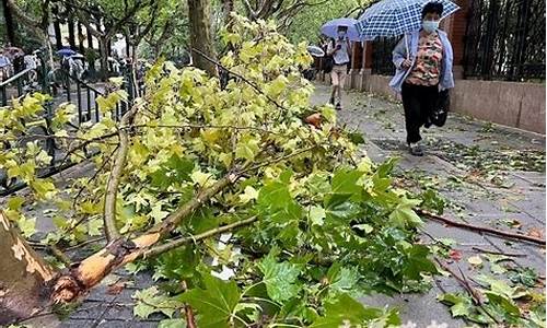 上海台风预报15天_上海台风气象预报