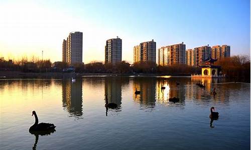 邯郸广平天气15天预报_河北邯郸市广平县天气预报